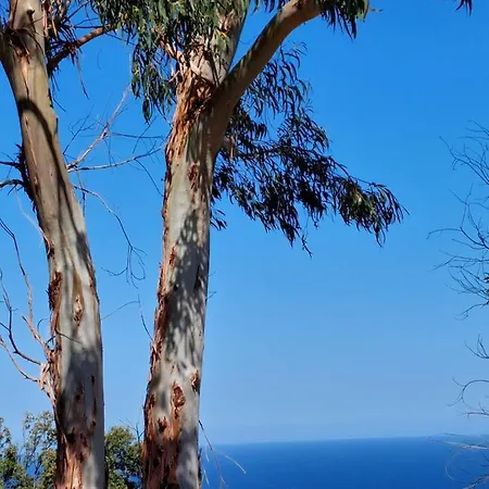 Lavatoggio Lumio (Corsica)