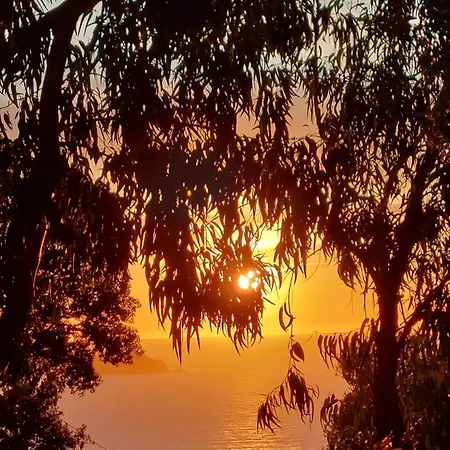 Lavatoggio Campingplatz Lumio (Corsica)