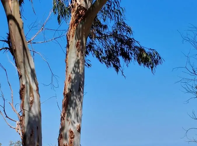 Lavatoggio Lumio (Corsica)